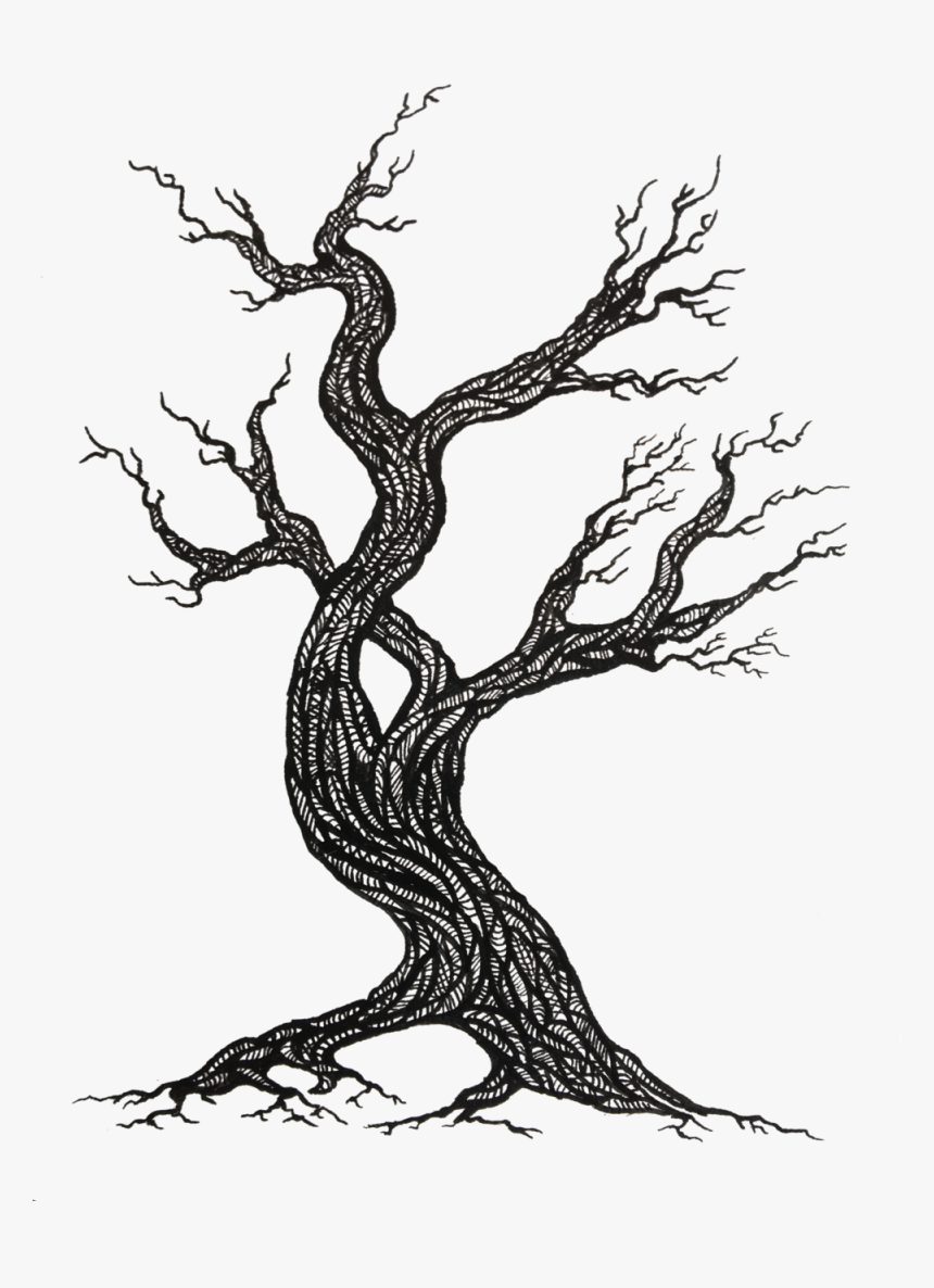 Tree, HD Png Download, Free Download