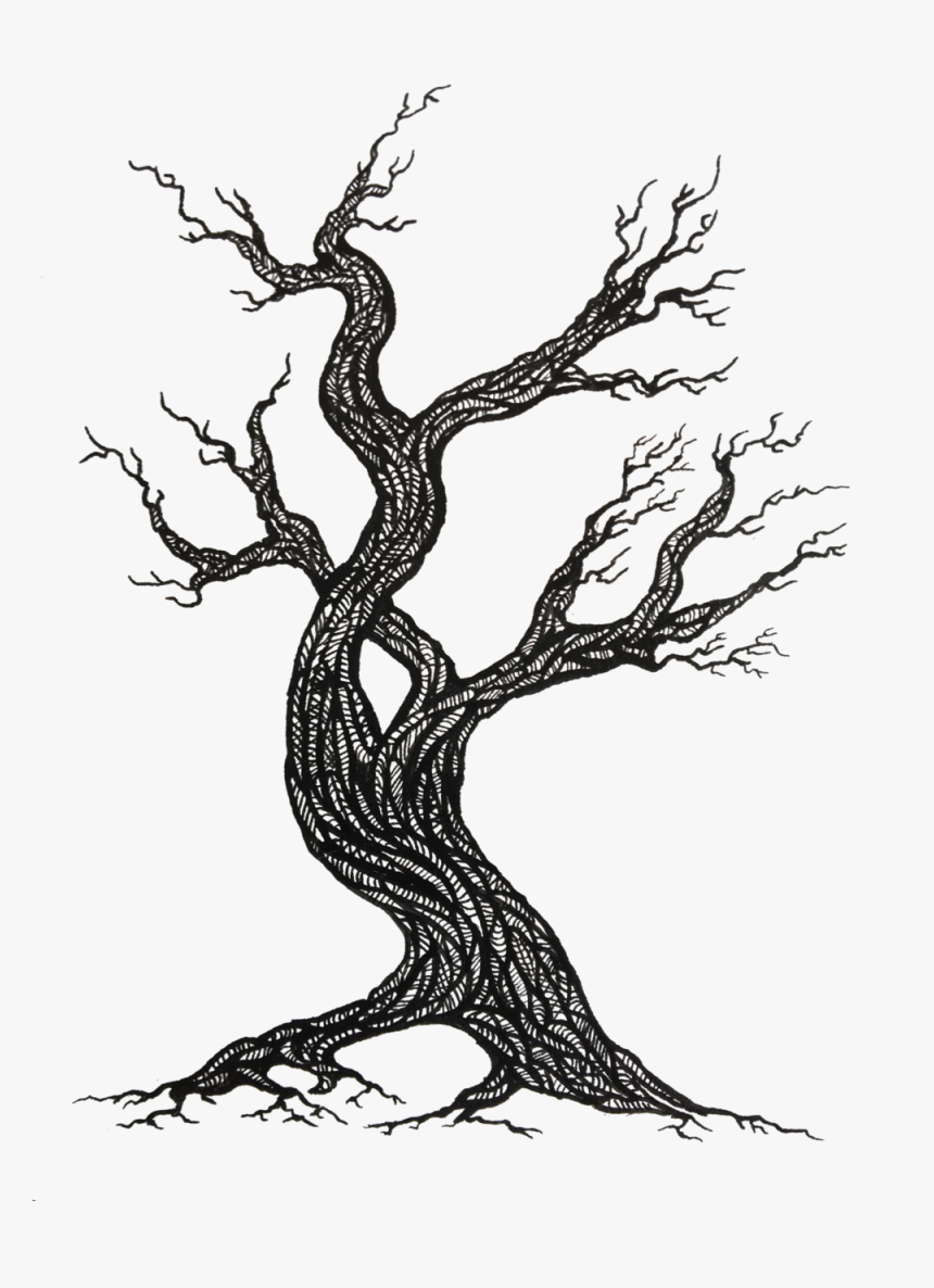 Tree, HD Png Download - kindpng