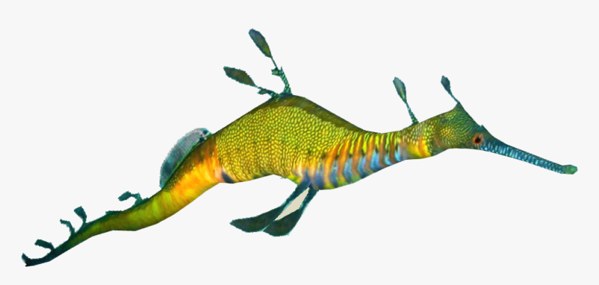 Sea Dragon Png - Transparent Leafy Sea Dragon Png, Png Download, Free Download