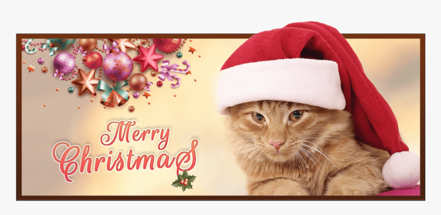 Merry Christmas - Tabby Cat, HD Png Download, Free Download