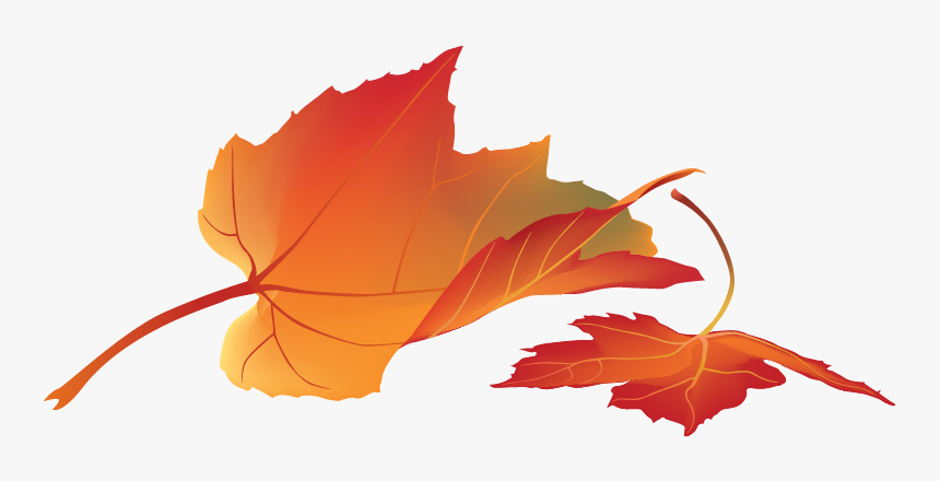 Real Fall Leaves Png, Transparent Png, Free Download