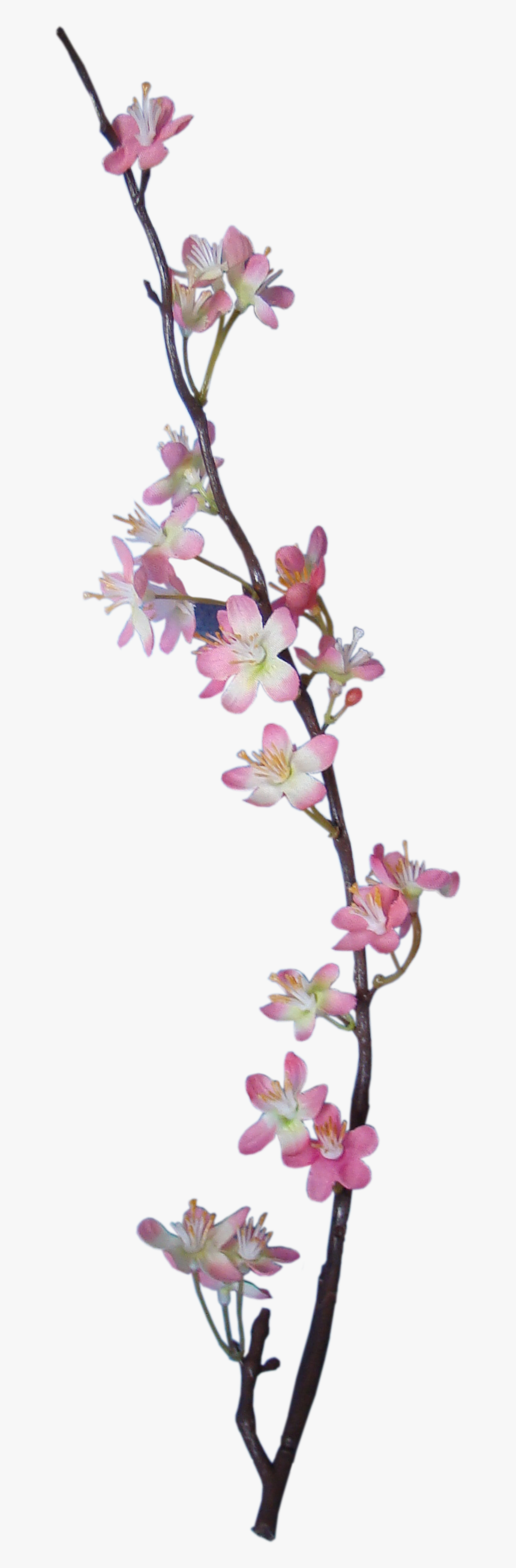 Apple Blossom - Artificial Flower, HD Png Download, Free Download