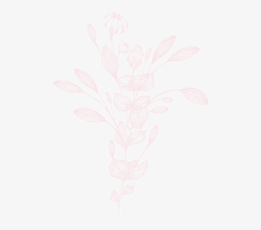 Vert-floral - Sketch, HD Png Download, Free Download