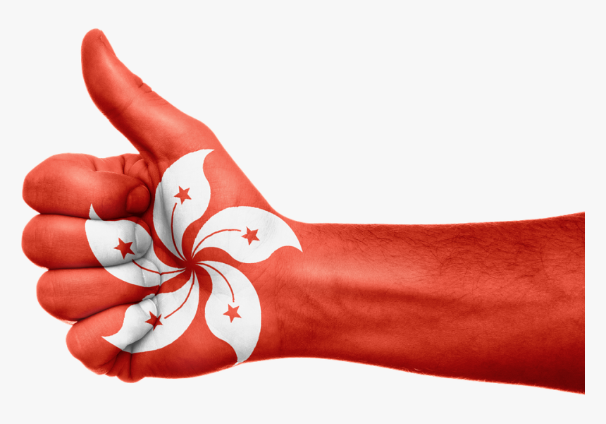 Algeria Flag Hand Png, Transparent Png, Free Download