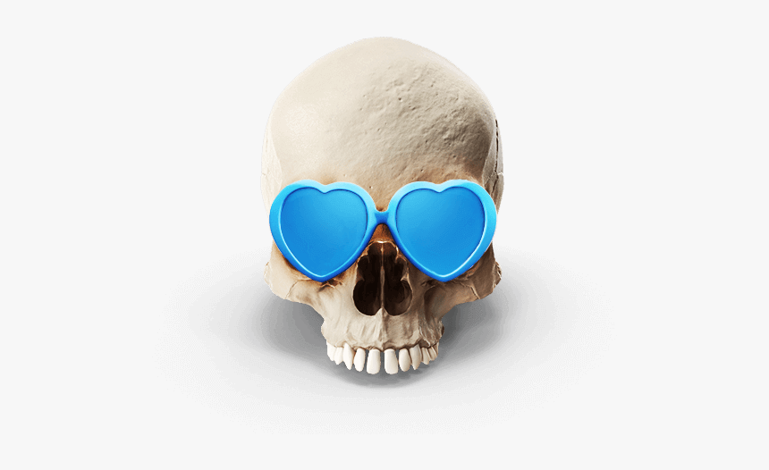 Skull, HD Png Download, Free Download