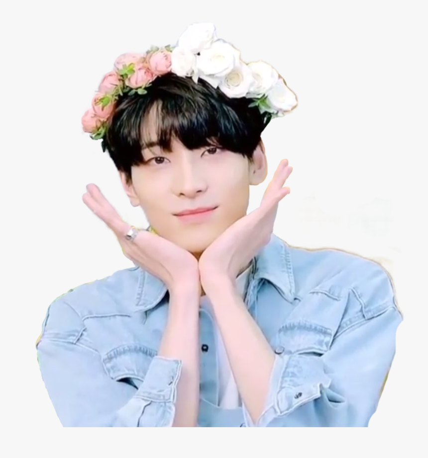 Jeon Wonwoo - Seventeen Wonwoo, HD Png Download, Free Download