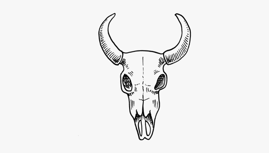 Skull - Bull, HD Png Download, Free Download