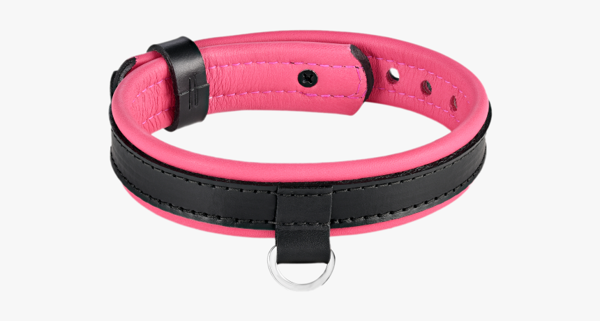 Black Leather Collar With Pink Accent - Great Dane, HD Png Download, Free Download