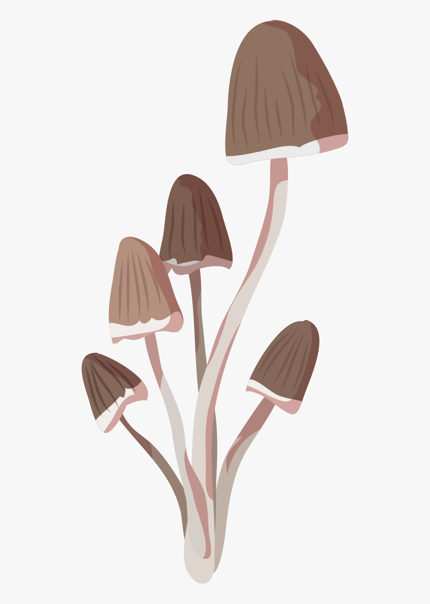 Illustration, HD Png Download, Free Download