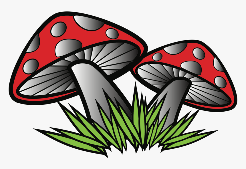 Fungi Clipart, HD Png Download, Free Download