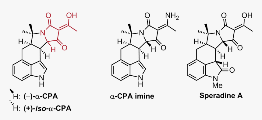 Bioremediation Of Nitroaromatic Compounds, HD Png Download, Free Download