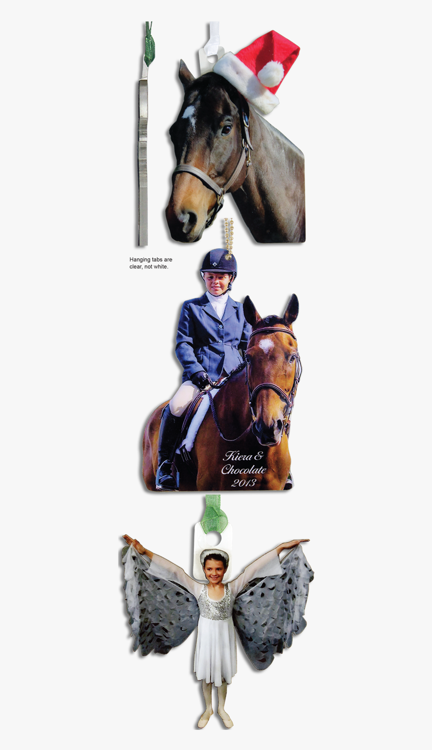 Equitation, HD Png Download, Free Download