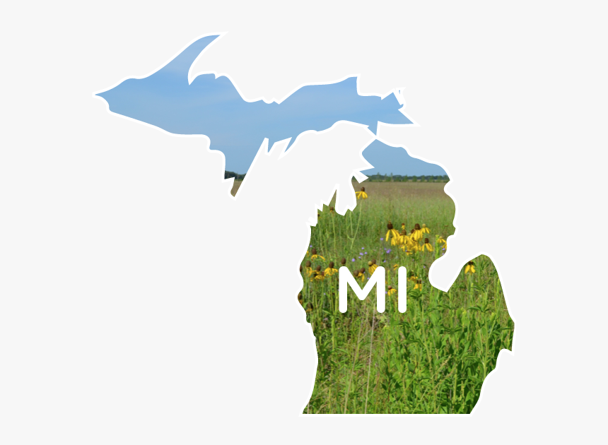 Michigan State Map Vector, HD Png Download, Free Download