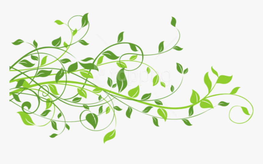 Free Png Download Spring Decor With Leaves Png Images - Leaf Green Design Png, Transparent Png, Free Download