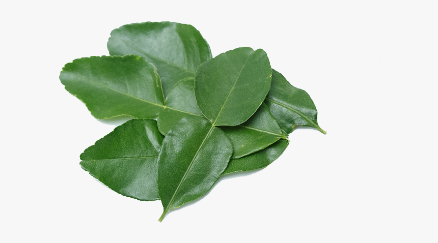 Kaffir Lime Leaves Free Png Image - Pear, Transparent Png, Free Download