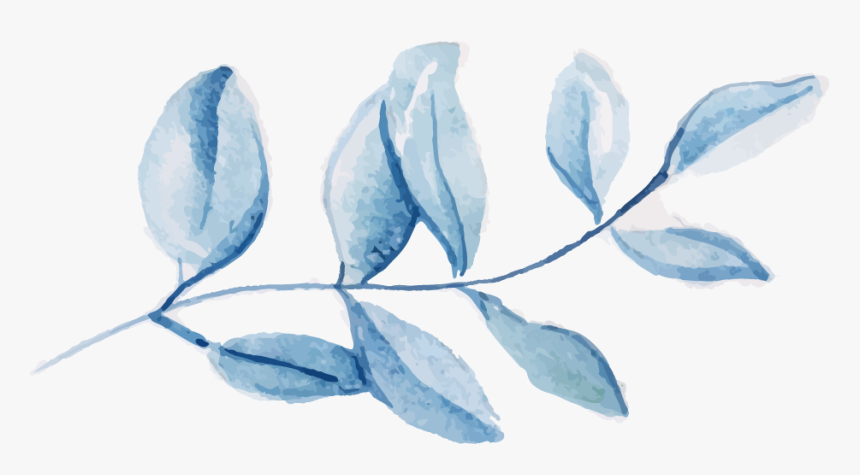 Watercolor Blue Leaf Png, Transparent Png, Free Download