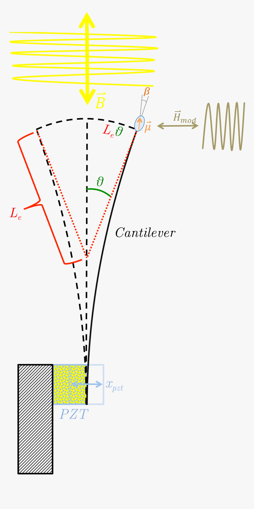 Cantilever In External Magnetic Field - Oscillating Cantilever, HD Png Download, Free Download