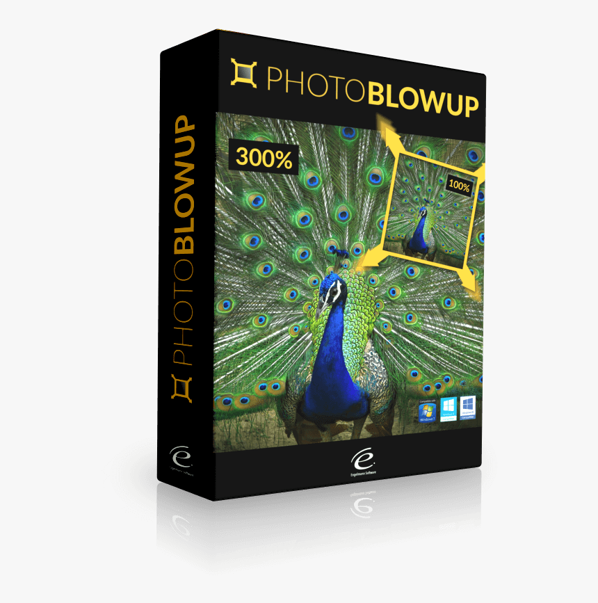 Dancing Peacock, HD Png Download, Free Download