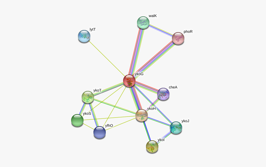 Ykog Protein - Circle, HD Png Download, Free Download