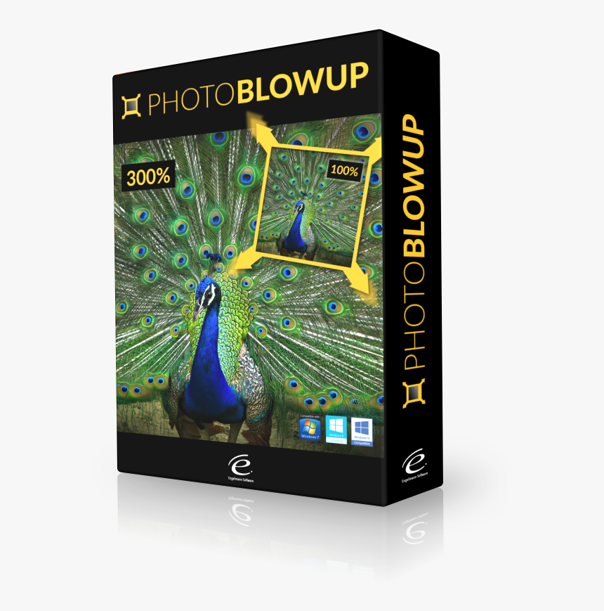 Photo Blowup Boxshot - Peafowl, HD Png Download, Free Download