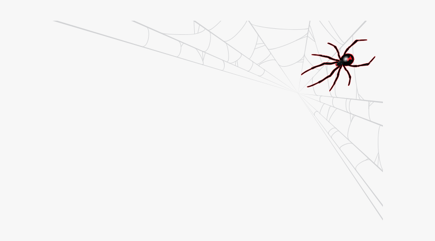 Spider Web, HD Png Download, Free Download