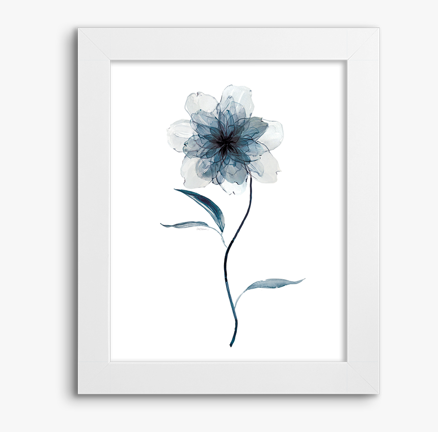 Picture Frame, HD Png Download, Free Download