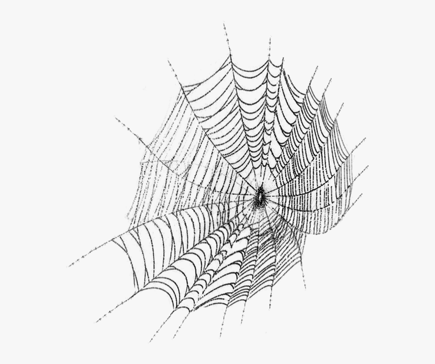 Toile D"araignée Png, Tube Halloween - Dara The Virgin Terbaru, Transparent Png, Free Download