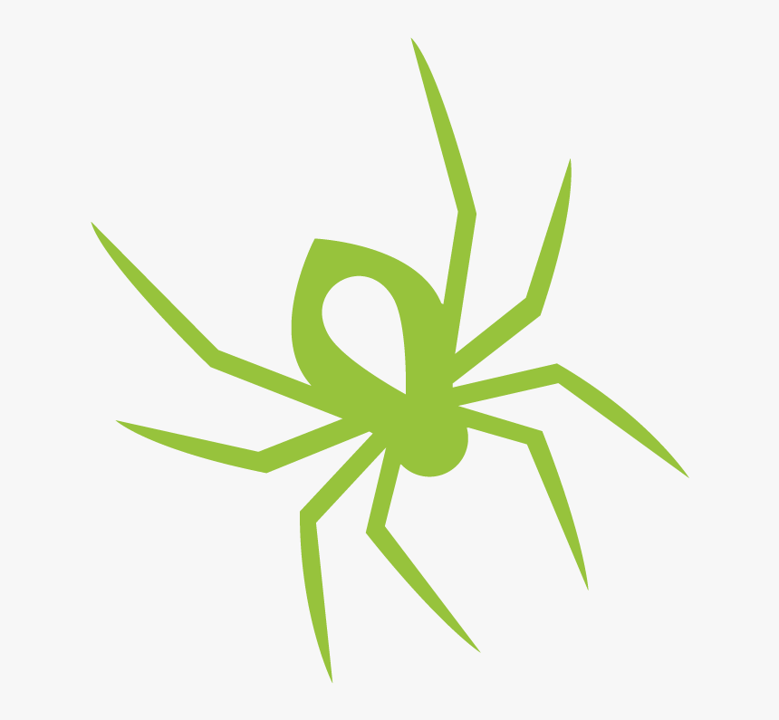 Araneus, HD Png Download, Free Download