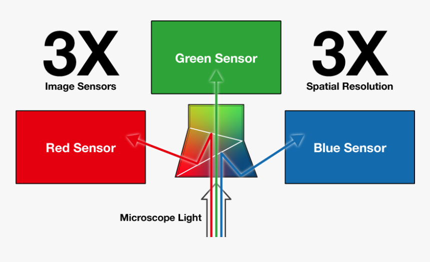 3 Cmos Rgb Beamsplitting Microscope Camera Sensor - Florida International University College Of Education, HD Png Download, Free Download