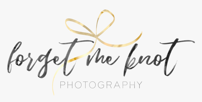 Columbus, Ohio Wedding Photographer - Calligraphy, HD Png Download, Free Download
