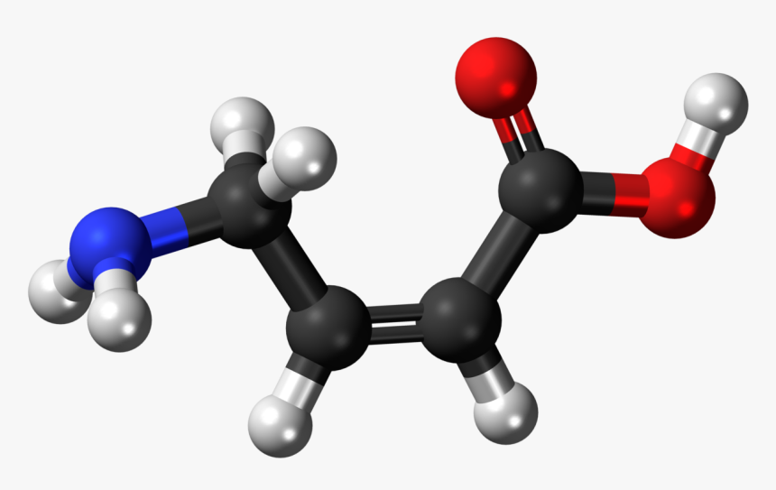 Presence Of Oxalate Ion In Guava, HD Png Download, Free Download