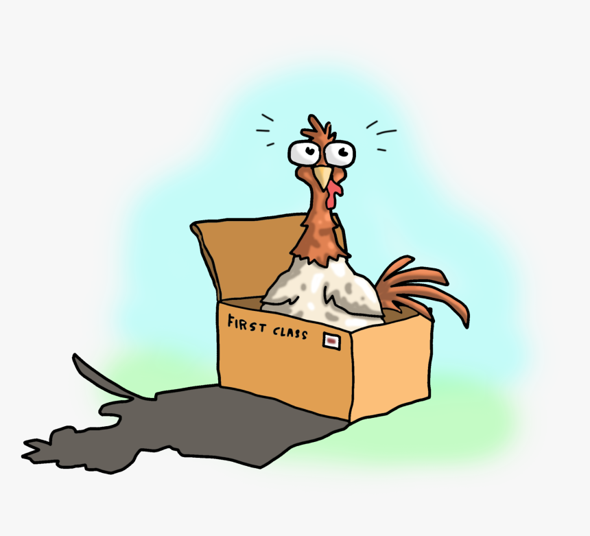 Live Baby Chickens , Png Download - Cartoon, Transparent Png, Free Download