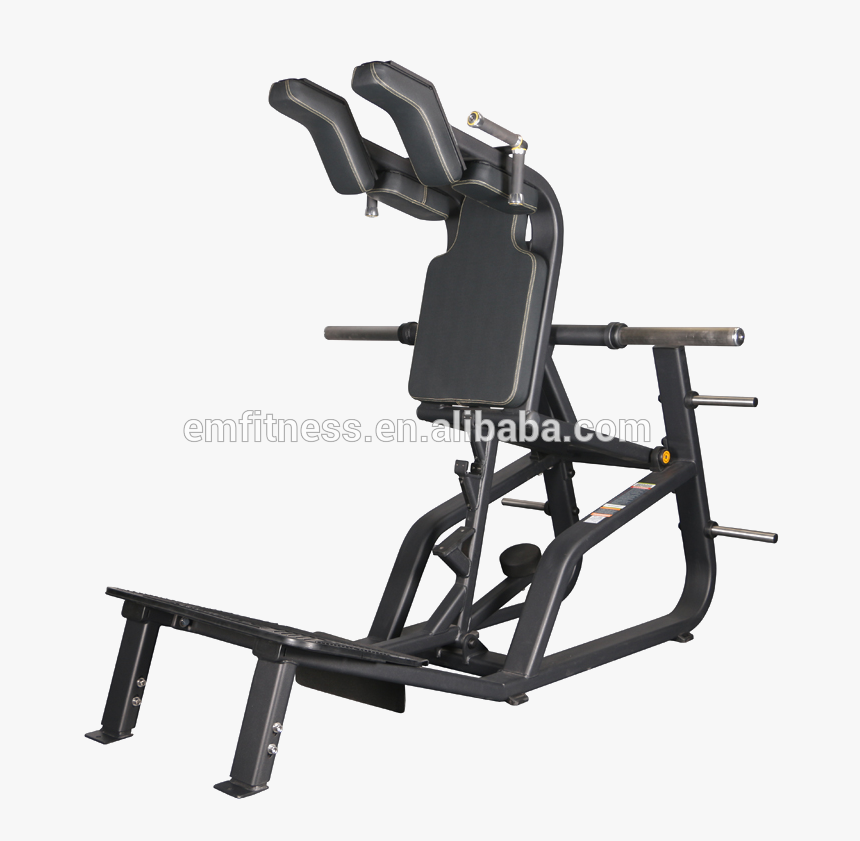 World Gym Logo Png , Png Download - Hack Squat Machine, Transparent Png, Free Download