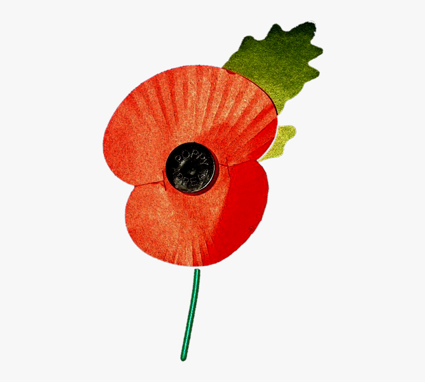 Remembrance Day Parade & Service - British Legion Remembrance Poppy, HD Png Download, Free Download