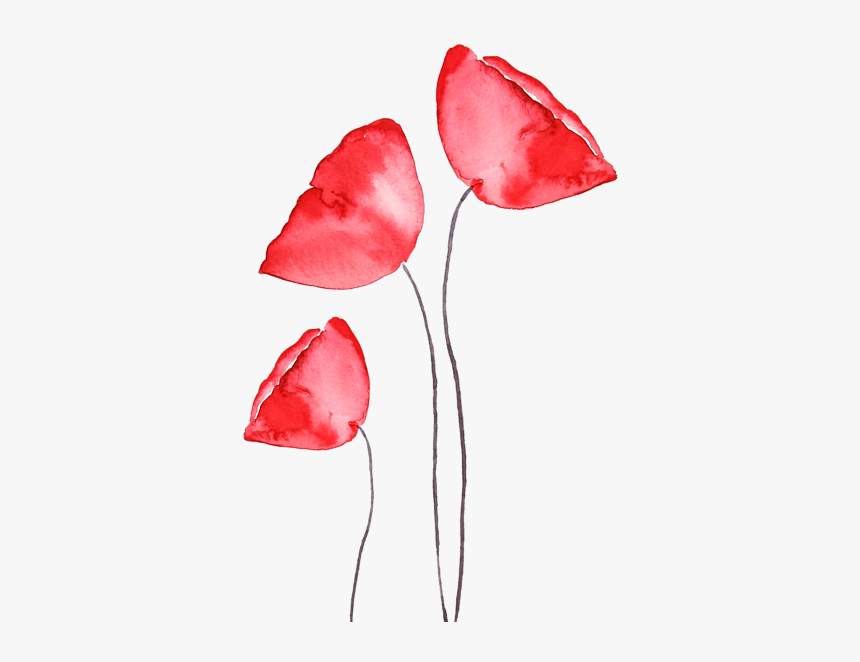 Poppy, HD Png Download, Free Download