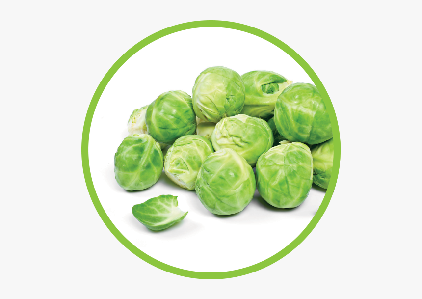 Brussel Sprouts Md Circle - Brussels Sprouts White Background, HD Png Download, Free Download