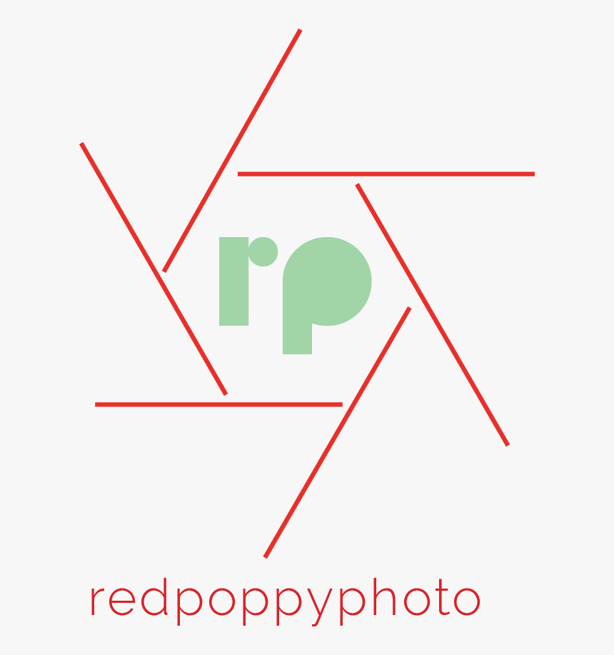 Red Poppy Photo - Angulos Opuestos Por El Vertice, HD Png Download, Free Download