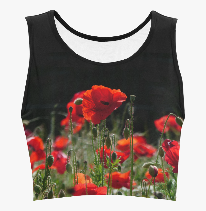 Red Poppies, Poppy, Nature Women"s Crop Top - Black Crop Top With Stars, HD Png Download, Free Download