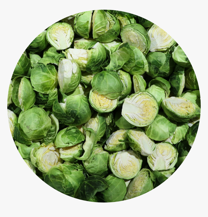 Brussel Sprouts - Brussels Sprout, HD Png Download, Free Download