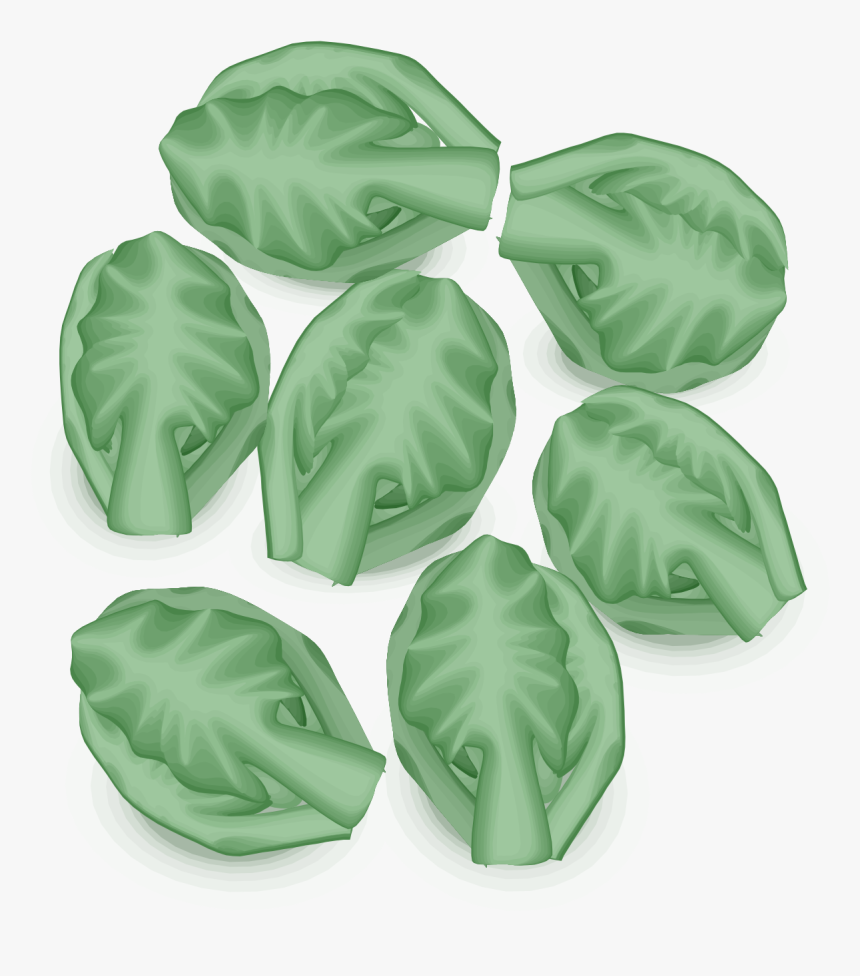 Free Vector Brussel Sprout Transparent, HD Png Download, Free Download