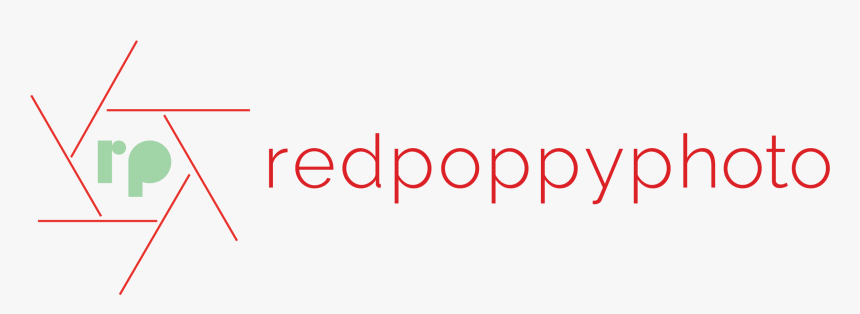 Red Poppy Photo - Rp Photography Logo Full Hd Png, Transparent Png, Free Download