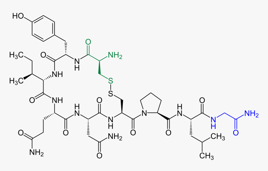 Oxytocin .svg, HD Png Download, Free Download