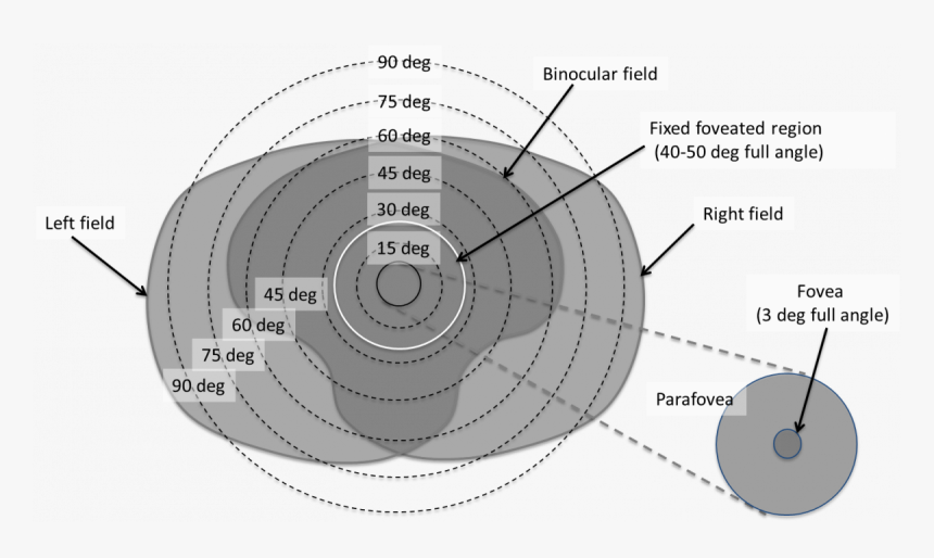 Circle, HD Png Download, Free Download