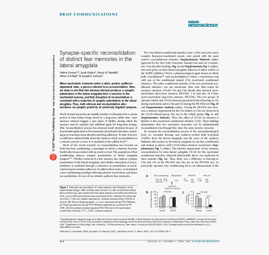 Document, HD Png Download, Free Download