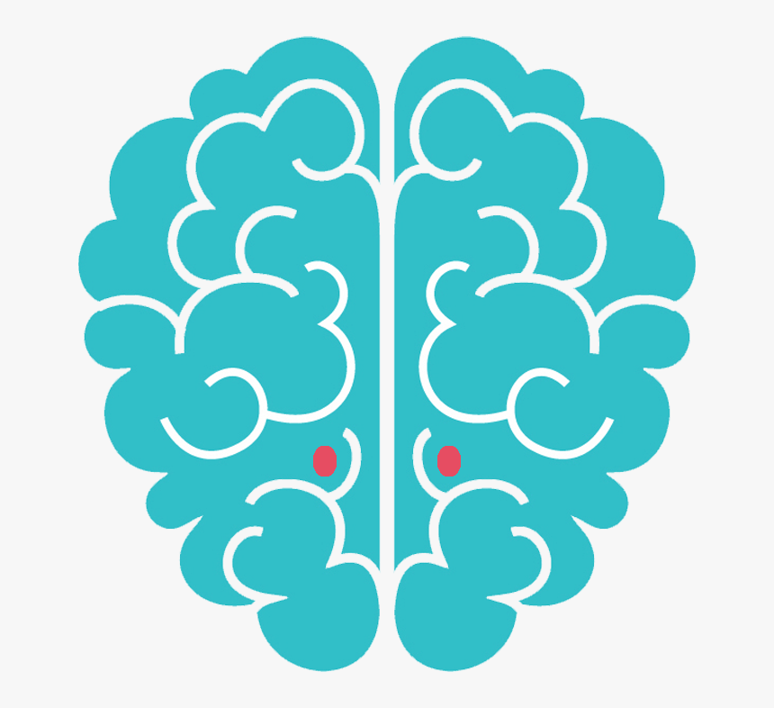 Left Brain Right Brain, HD Png Download, Free Download