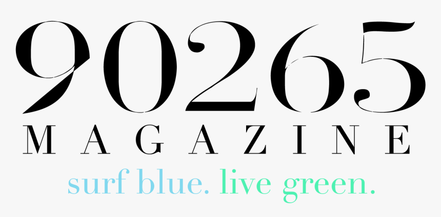 Oval, HD Png Download, Free Download