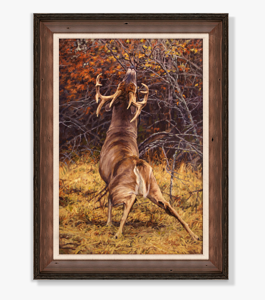 Ryan Kirby Deer Scrape Line Framed Canvas Giclee - Ryan Kirby Deer Paintings, HD Png Download, Free Download