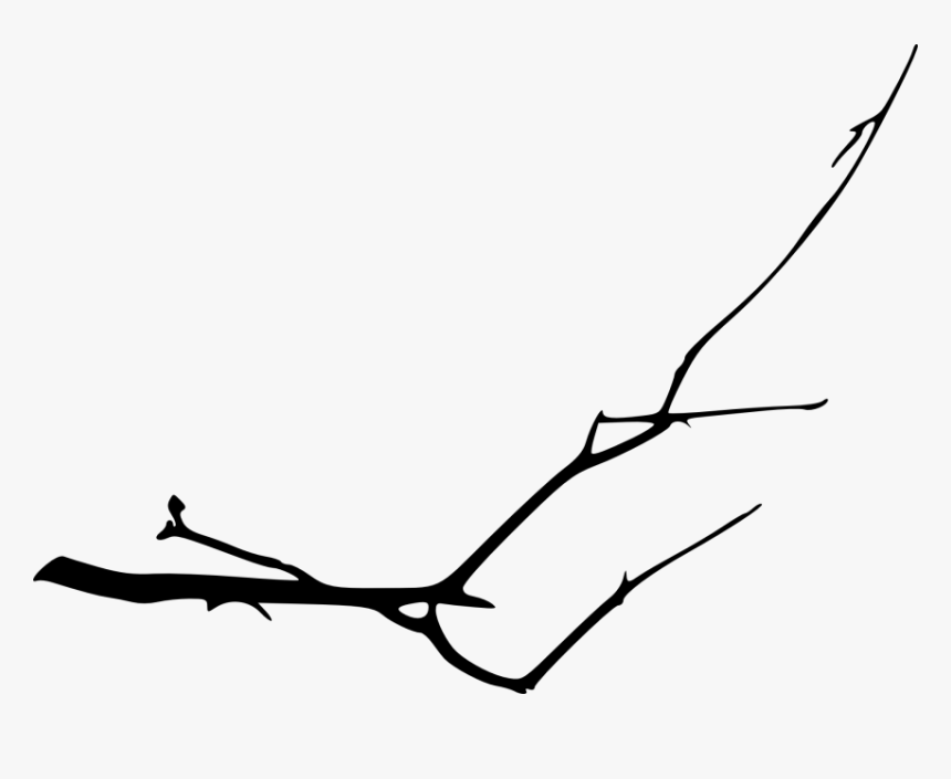 Simple Tree Branch Png - Silueta De Rama Png, Transparent Png, Free Download