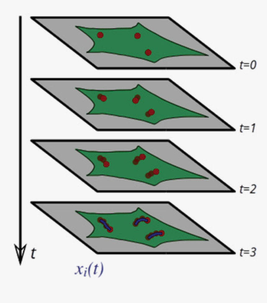 In This Simple Illustration Of Particle Tracking, T=0, - Christmas Tree, HD Png Download, Free Download