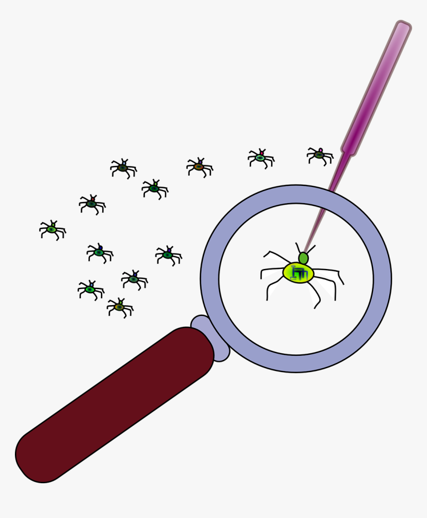 Debugging Clipart, HD Png Download, Free Download